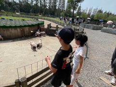 -前小桔亲子创意农场·草莓采摘·露营烧烤