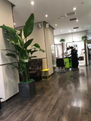 -崇尚GAVIN STYLE臻选