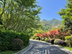 -黄山太平湖风景区