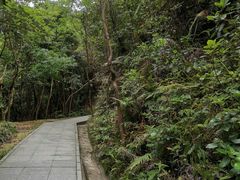-银瓶嘴森林公园