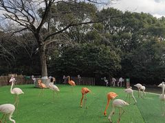 -上海野生动物园