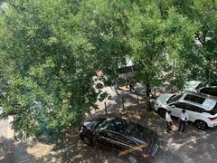 风景-上岛咖啡(华源四里店)