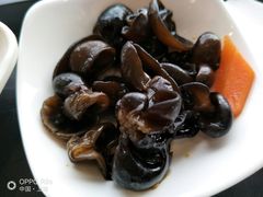莴笋黑木耳-百事佳烧鸭牛腩(上海虹桥站店)