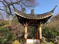 -杭州植物园