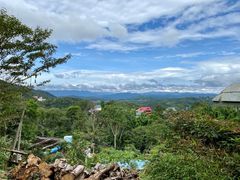 -西双版纳基诺山寨