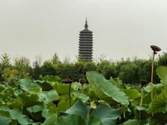 -西海子公园