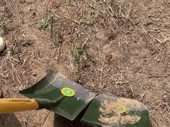 -野鸭湖国家湿地公园