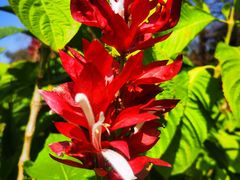 -华南国家植物园-售票处