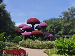 -沈阳植物园