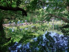 -人民公园(罗湖区)