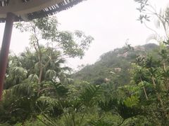 -江门古兜温泉小镇