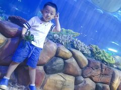 -华夏文旅海洋公园