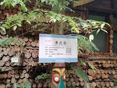 -呀路古热带植物园