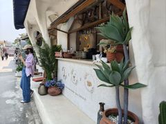 -Sirena海妖日咖夜酒