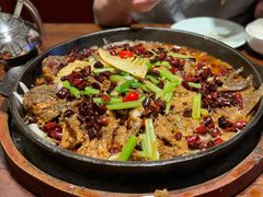 -老板恋上鱼(荣盛广场店)