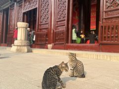 -西园戒幢律寺