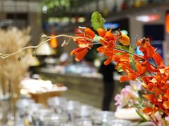 -太湖饭店玉兰厅(自助餐厅)