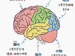 -金色雨林感统训练·专注力·语言认知·心理沙盘(天通苑校区)