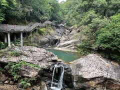 -广州白江湖森林公园