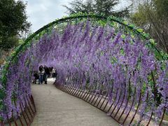 -石燕湖生态旅游景区