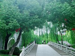 -台儿庄古城