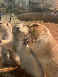 -Zoolung Zoolung动物主题公园(海信广场店)