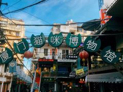 -猫咪博物馆(顶澳仔猫街店)