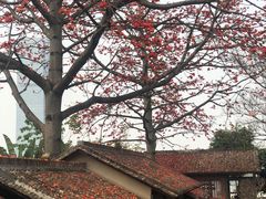 -喜洲吧·江畔老船厂·庭院餐厅(喜临院店)