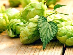 -阪尚皇·原切牛排·烤肉火锅自助(北京路店)