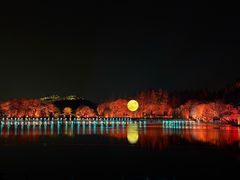 -印象西湖·最忆是杭州实景演出