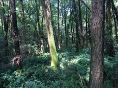 -同里国家湿地公园