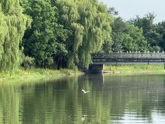 -同里国家湿地公园