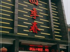 -四季春