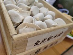 -田记自助海鲜饺子
