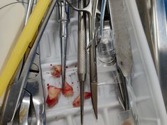 -上海市杨浦区牙病防治所