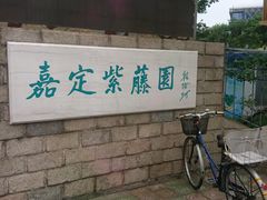 -嘉定紫藤园