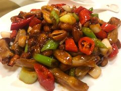 -九花山烤鸭店