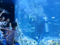 -欢乐海岸海洋奇梦馆