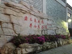 -老幺泉水鸡