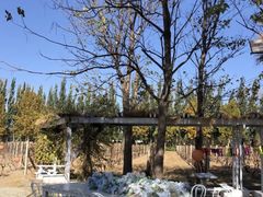 -安德鲁户外烧烤帐篷营地(马泉营店)