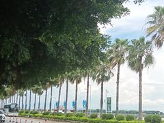 -大湾区中央湿地公园-十九涌