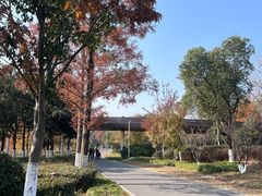 -昆山城市生态森林公园