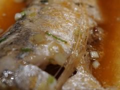 -子福慧(虹桥店)