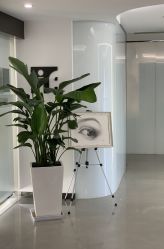 点击看大图 -处女座·MISS VIRGO·半永久纹眉野生眉