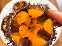 -海胆小馆(东北水饺·春柳店)