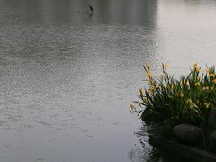 -澹台湖公园