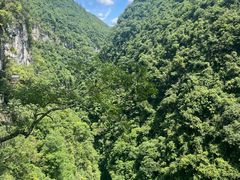 -梭布垭石林景区