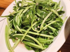 板蓝根-缘生态云南菜·野生菌庭院餐厅(华侨城店)