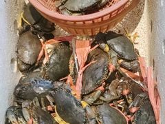 -莲花公园煎蟹(总店)