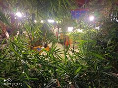 -大鹅岛绿色生态美食园